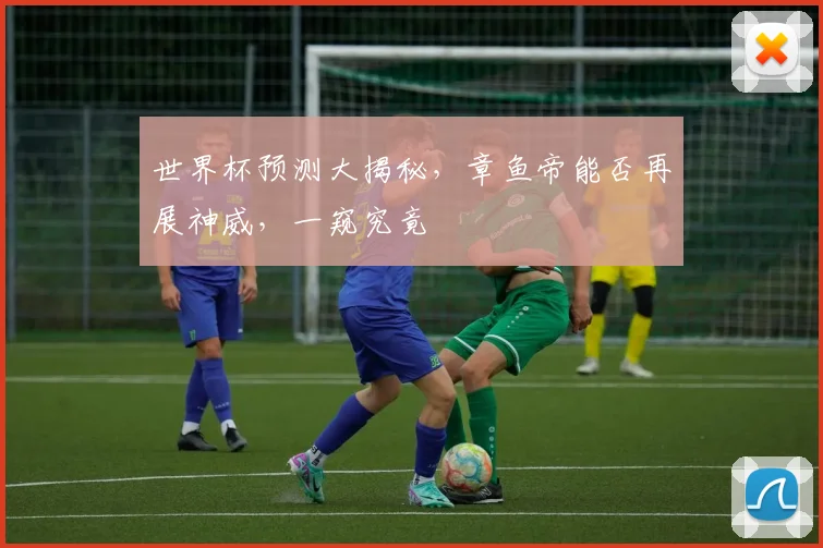 世界杯预测大揭秘，章鱼帝能否再展神威，一窥究竟