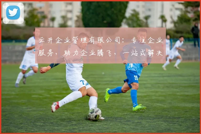 云开企业管理有限公司：专注企业服务，助力企业腾飞，一站式解决方案，成就卓越企业
