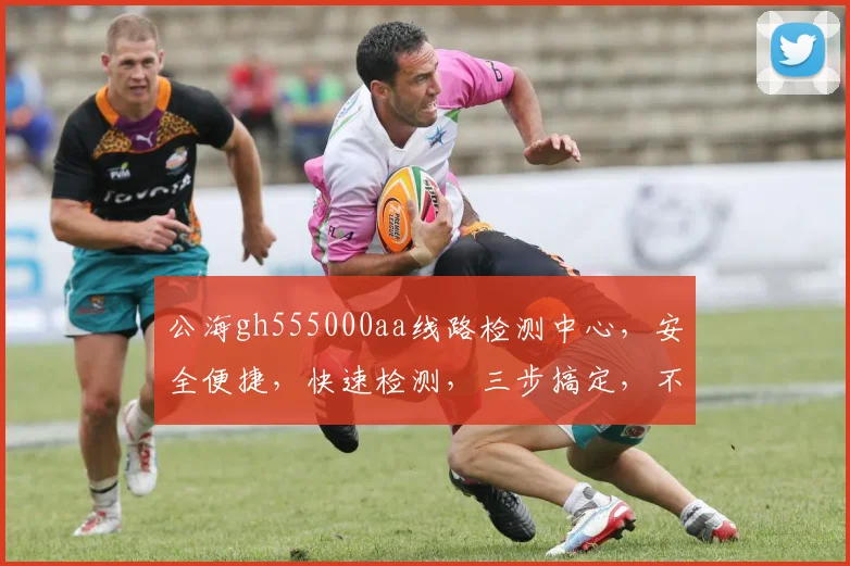 公海gh555000aa线路检测中心，安全便捷，快速检测，三步搞定，不容错过