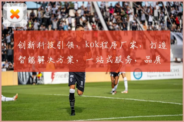 创新科技引领，kok程序厂家，打造智能解决方案，一站式服务，品质卓越，领先行业三步曲