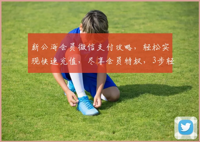 新公海会员微信支付攻略，轻松实现快速充值，尽享会员特权，3步轻松完成