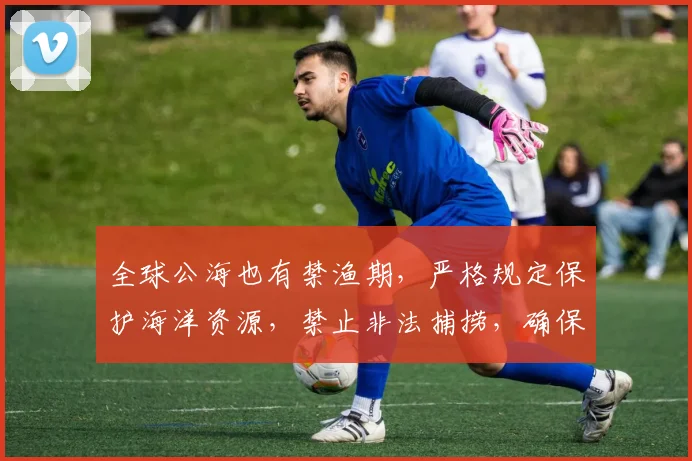 全球公海也有禁渔期，严格规定保护海洋资源，禁止非法捕捞，确保生态平衡。